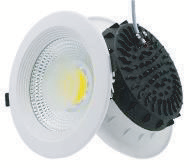 LED Downlight
